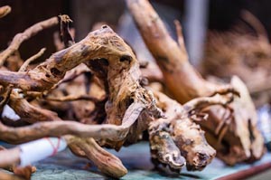 Sklep Zoologiczny
