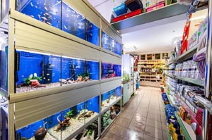 Sklep Zoologiczny